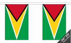 Guyana Buntings